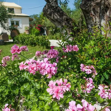 Corfu Linea Βίλα