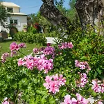 Corfu Linea Vilă