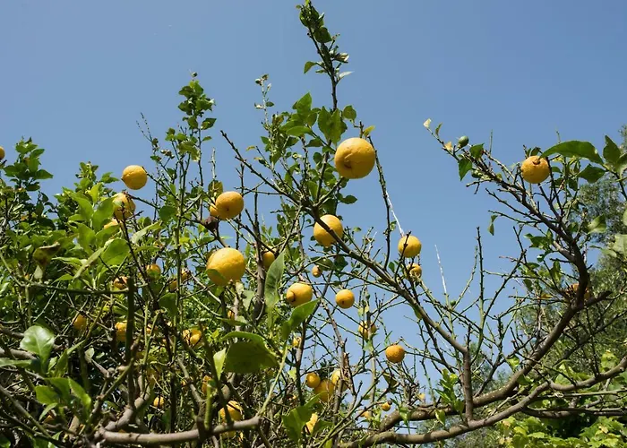 Corfu Linea