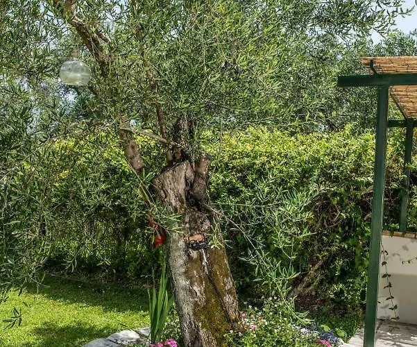 Corfu Linea فيلة *