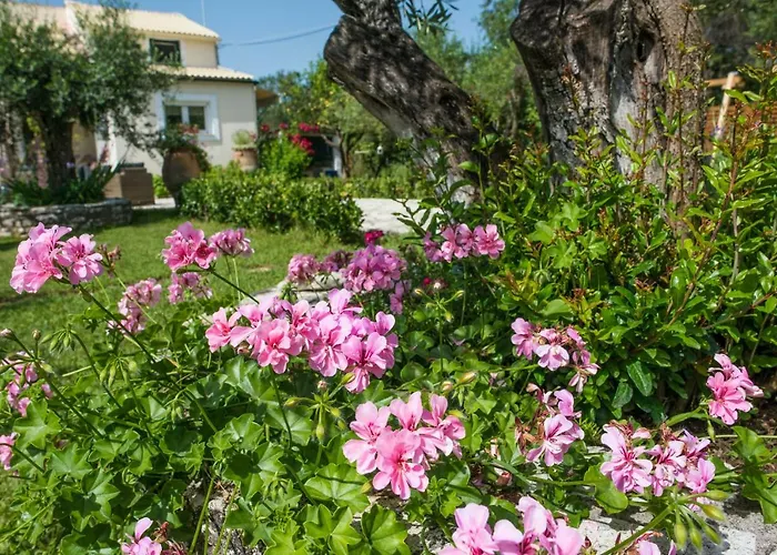 Corfu Linea Vilă